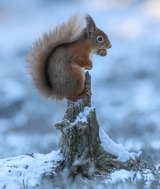 Dòng camera này là sản phẩm nên trải nghiệm