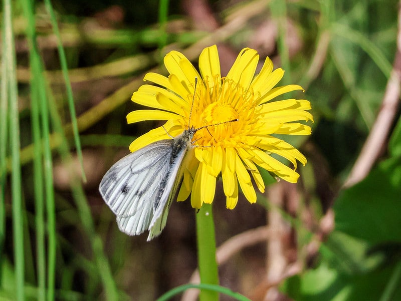 Hiệu năng của máy cho thấy nhiều điểm sáng đặc biệt