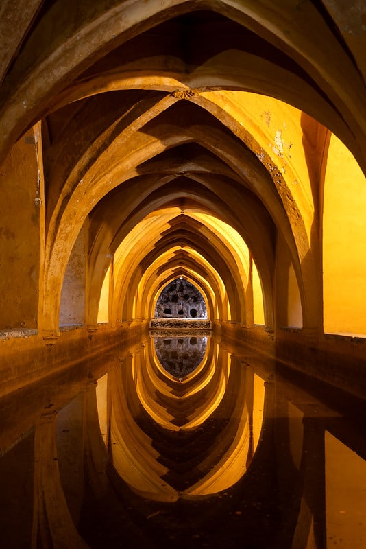 Chống rung quang học đến 5 stop