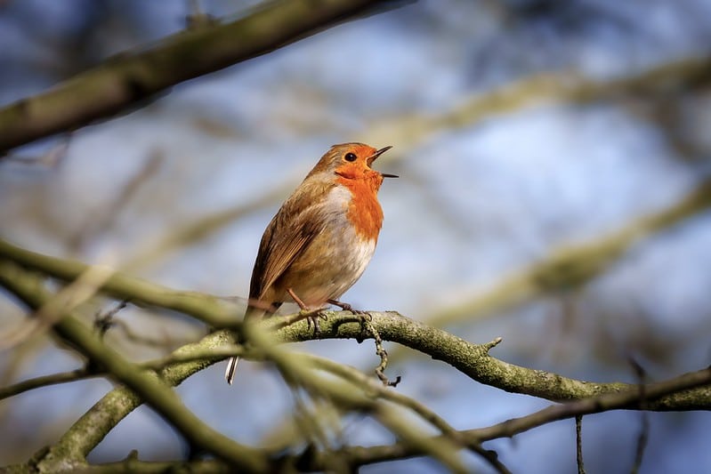 Chất lượng hình ảnh của a6700 nổi bật trong phân khúc