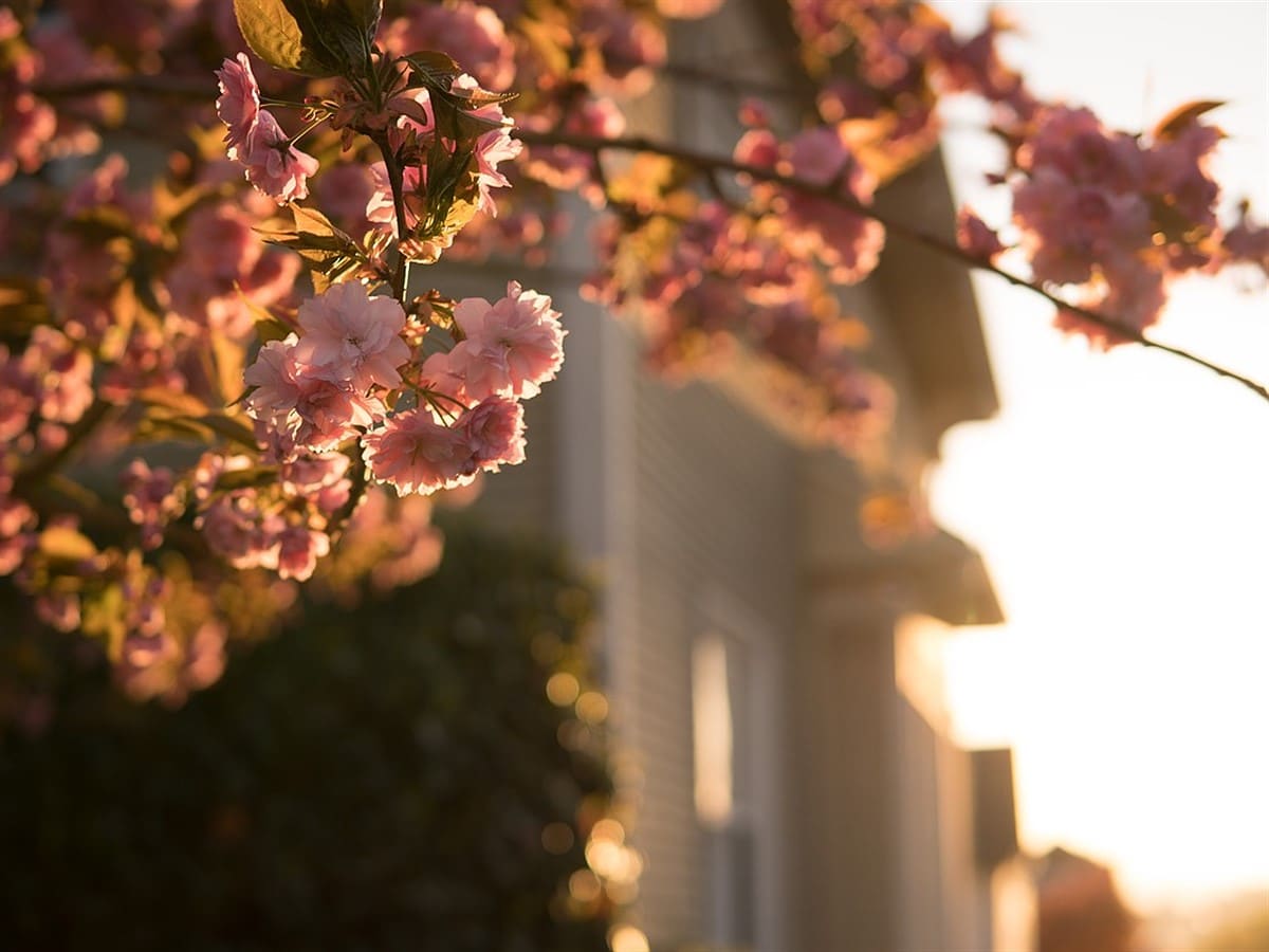 Sigma 30mm F1.4 DC DN – Gọn nhẹ, khẩu lớn, chất ảnh ấn tượng