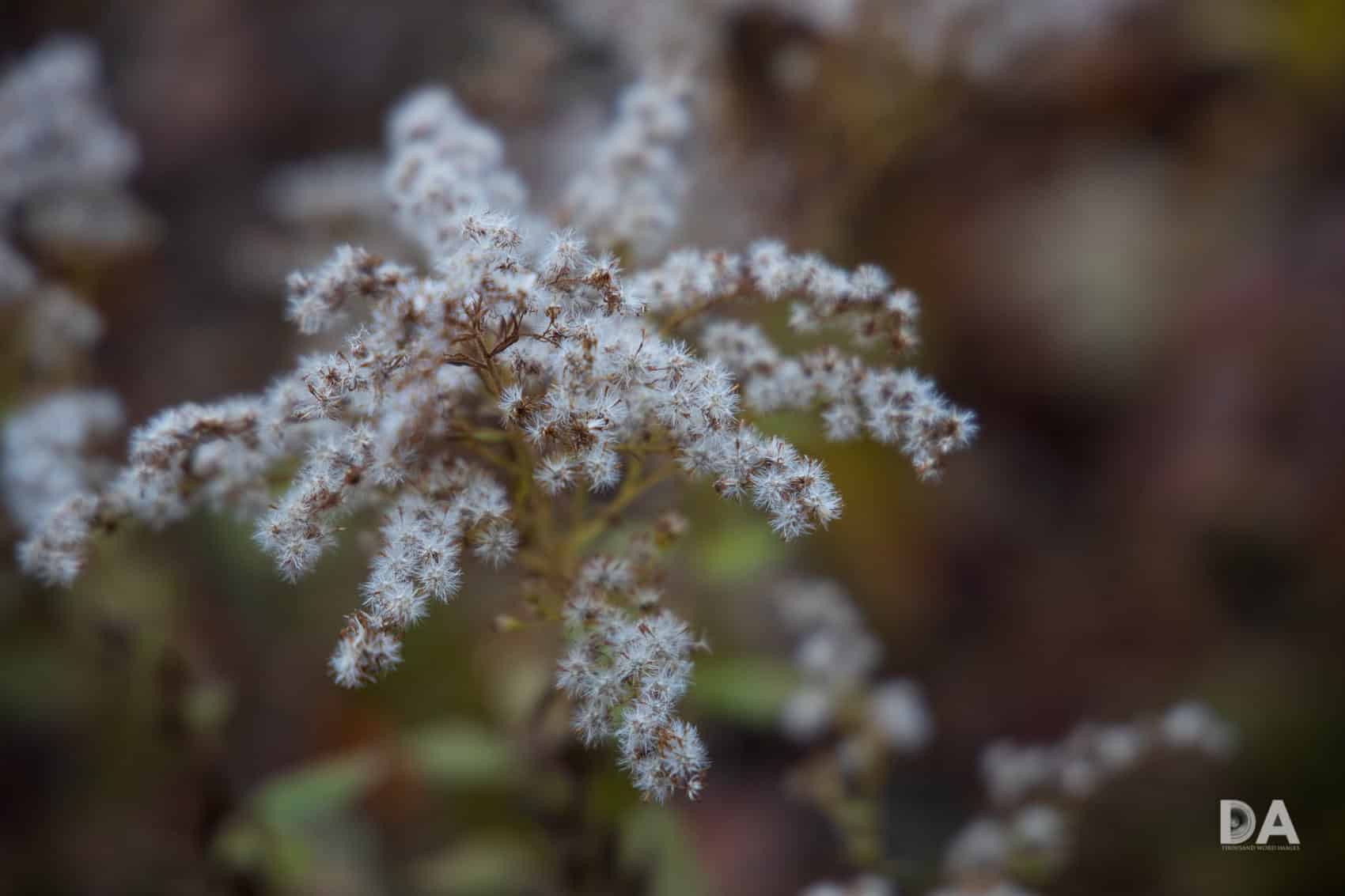 Canon RF 24-105mm f/4L IS USM được chế tạo với chất lượng hoàn thiện chắc chắn, khả năng chống bụi và kháng ẩm tốt