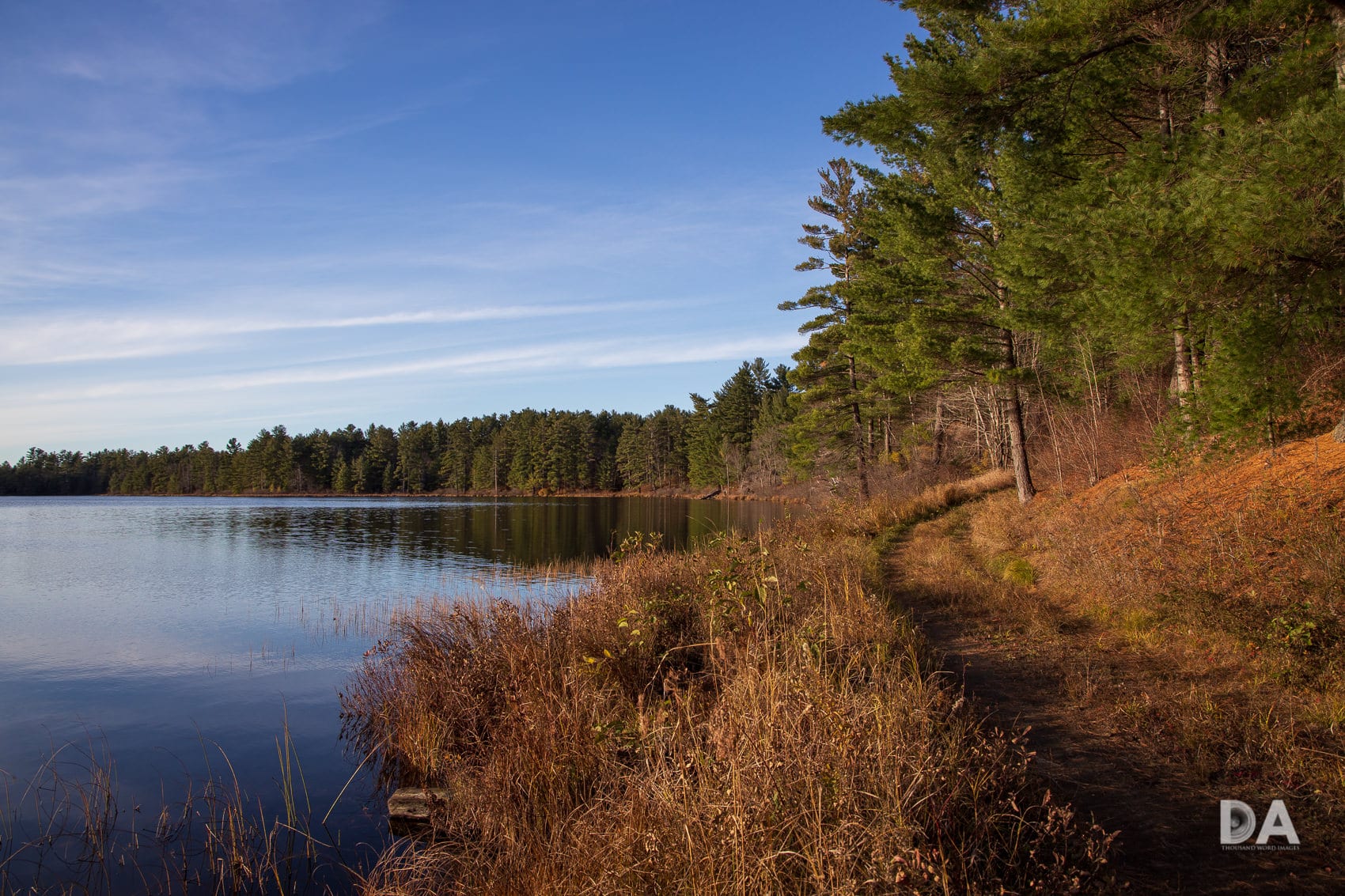 Ổn định hình ảnh lên đến 5 stop