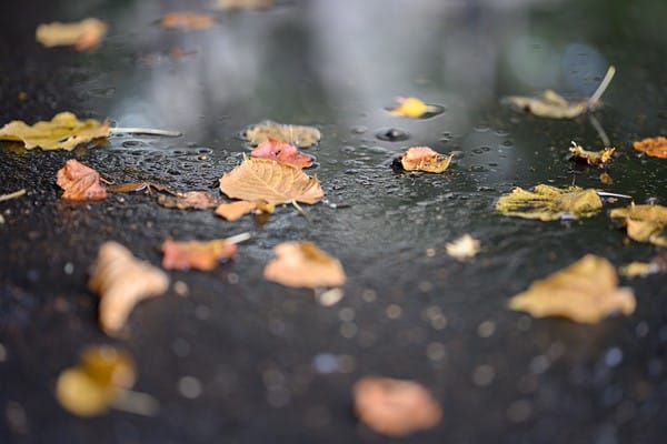 Vòng điều khiển tùy chỉnh – kiểm soát linh hoạt