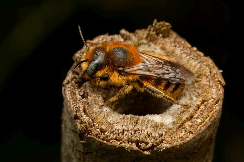 Công nghệ quang học cao cấp