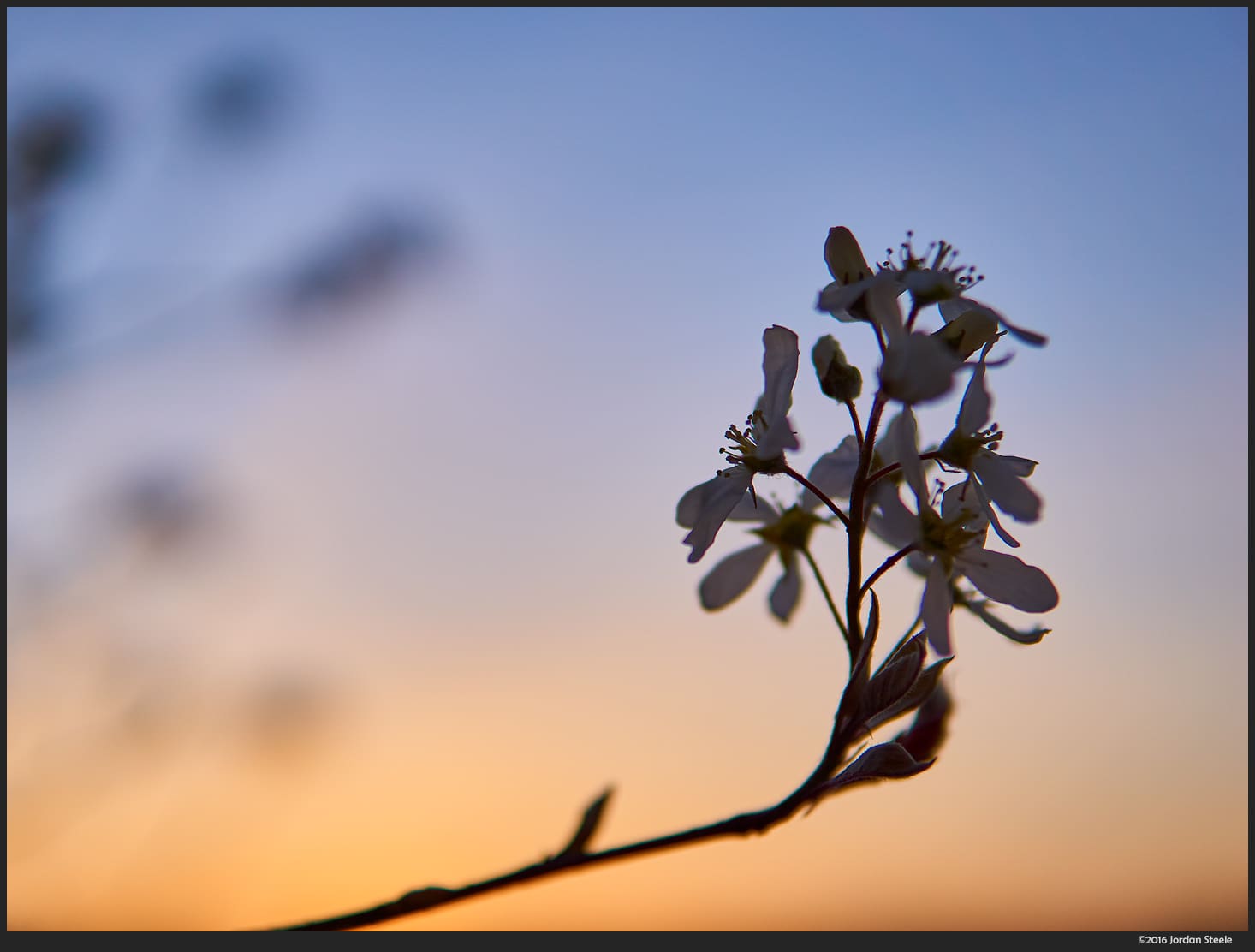 Tương thích Fast Hybrid AF – Hoàn hảo khi quay video