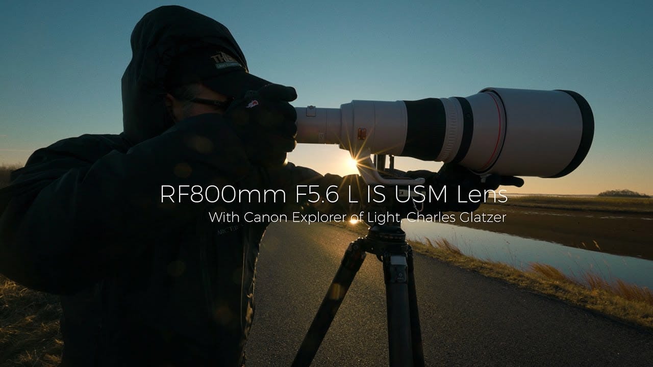 Canon RF 800mm f/5.6 L IS USM – Sức mạnh siêu tele gói gọn trong thiết kế gọn nhẹ