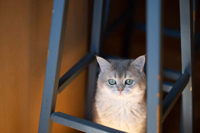 Thiết kế bền bỉ, sẵn sàng cho mọi điều kiện thời tiết