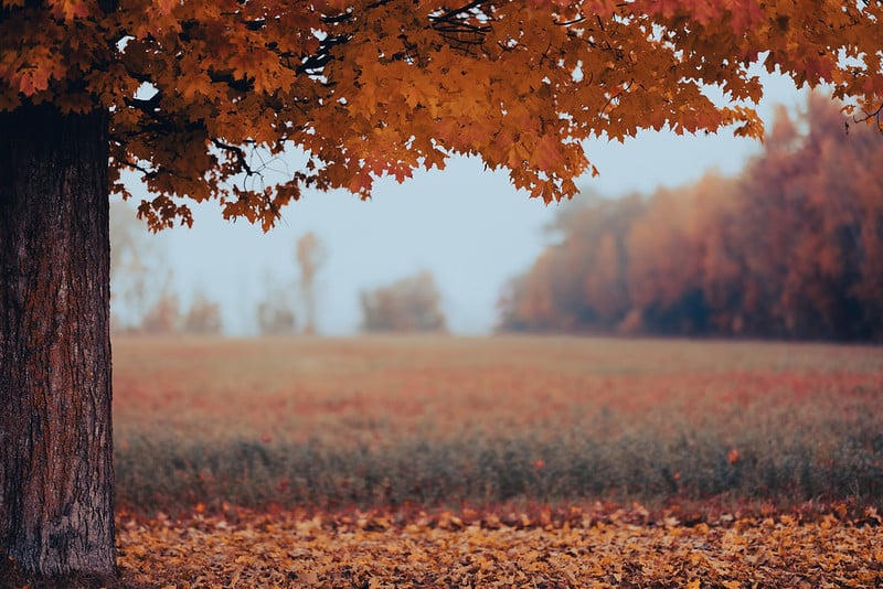 Vòng điều khiển tùy chỉnh trực tiếp trên ống kính