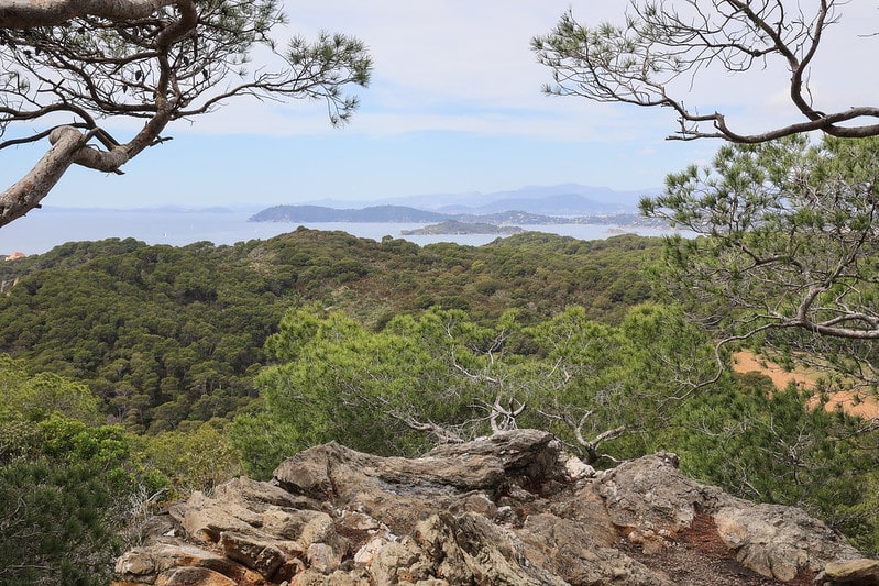 Hỗ trợ Extender và điều khiển tùy biến