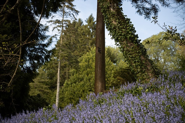 Thiết kế bền bỉ – Đạt chuẩn chuyên nghiệp dòng L