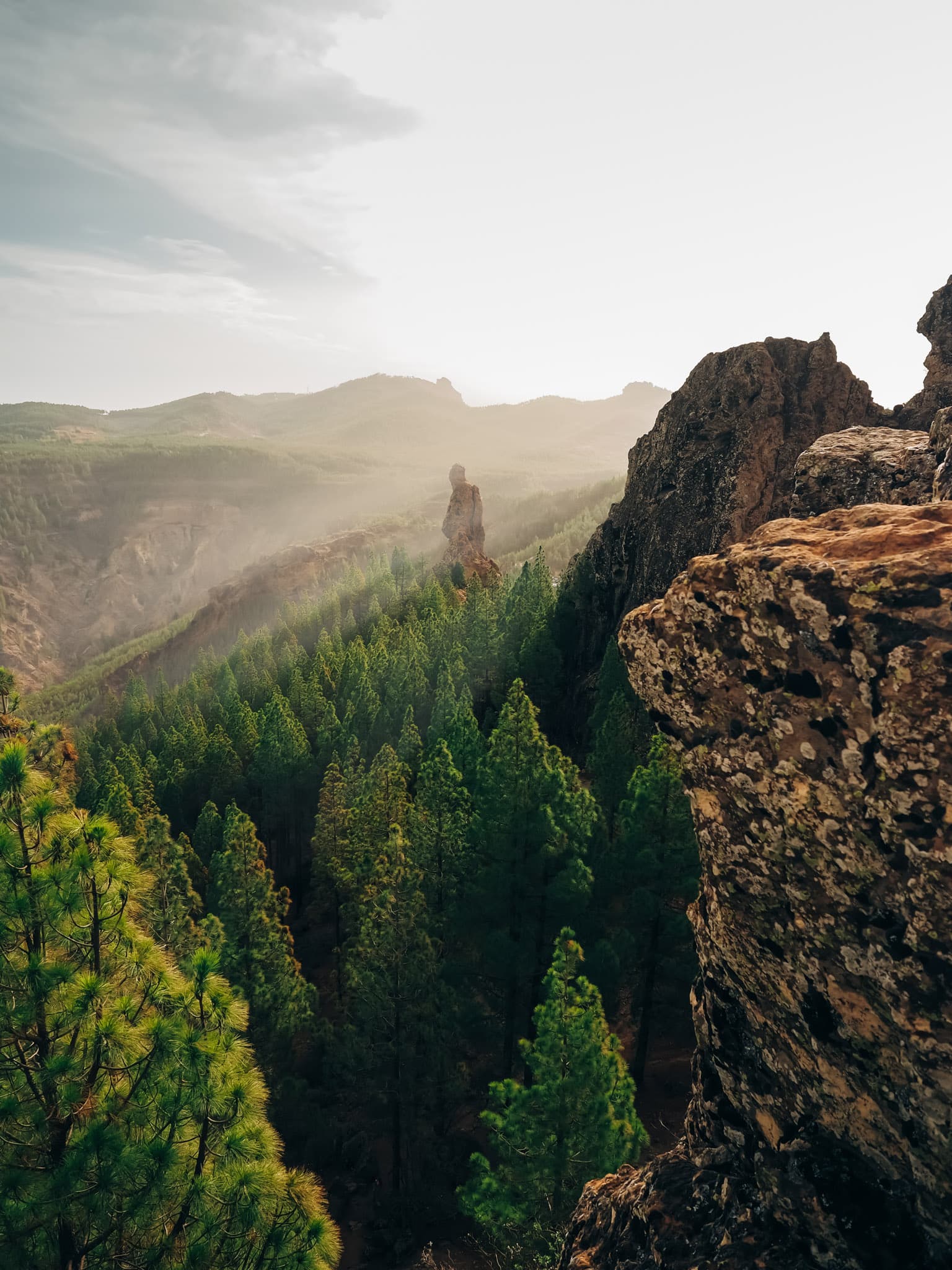 Máy ảnh OM SYSTEM OM-5 Mark II