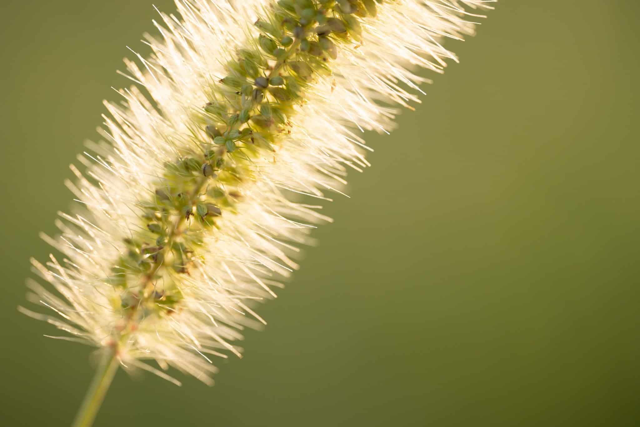 Ống kính Sigma 105mm F2.8 DG DN Macro Art ngàm Sony E