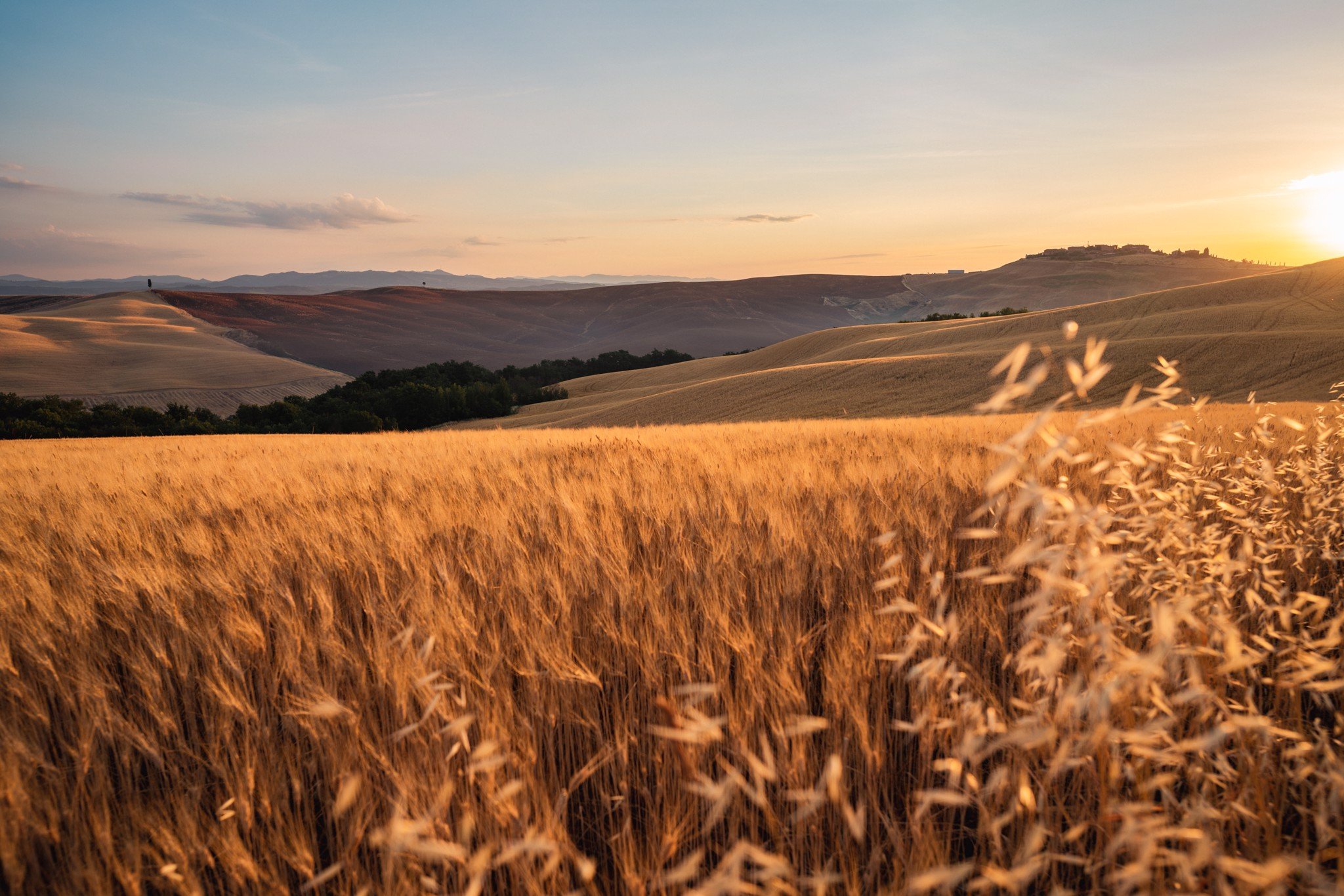 Ống kính Sigma 24mm F1.4 DG DN Art ngàm L