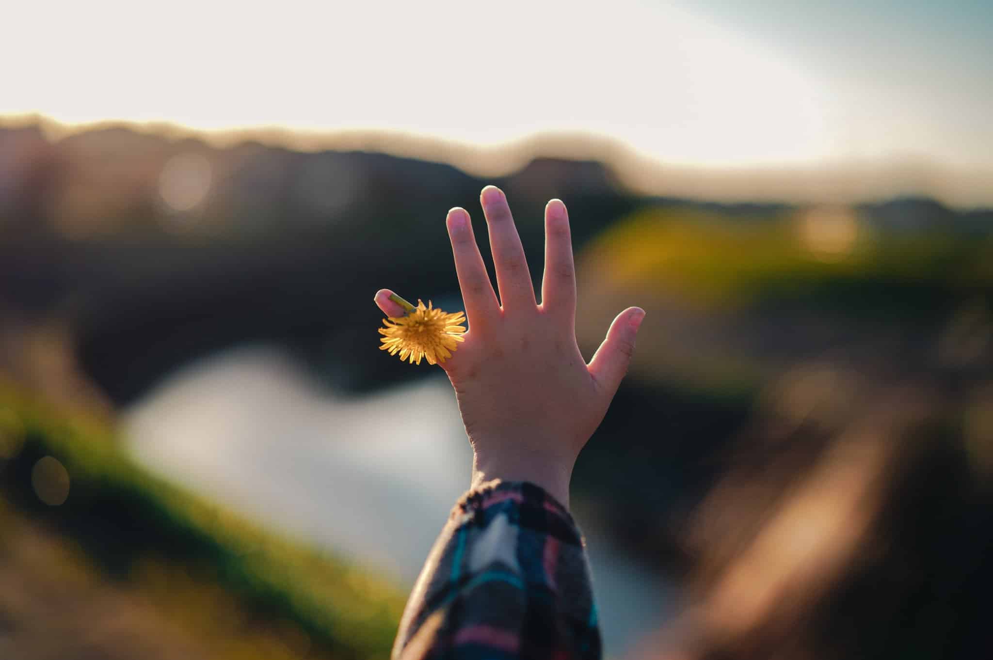 Ống kính Sigma 50mm F1.4 DG DN Art ngàm L