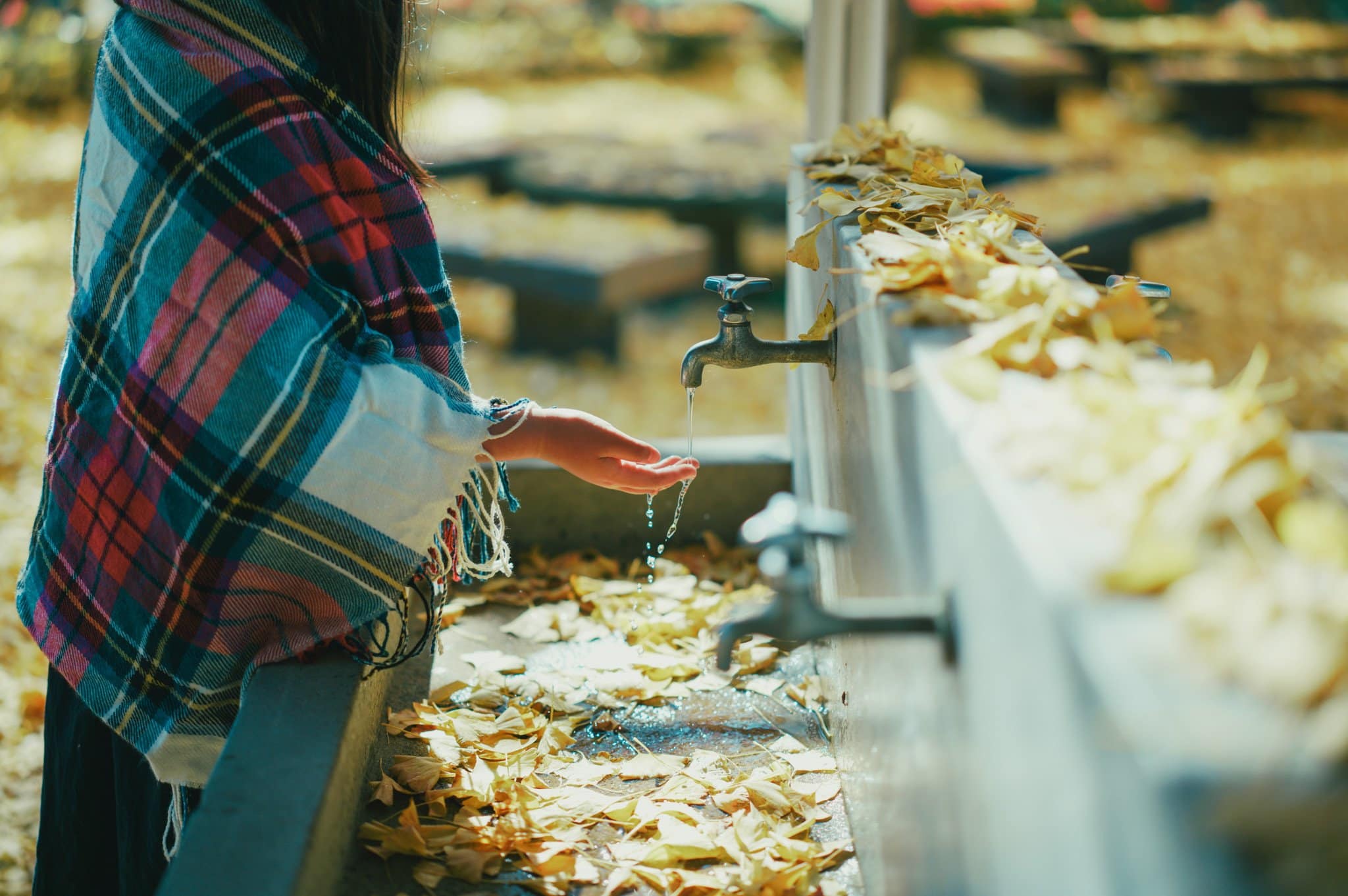 Ống kính Sigma 50mm F1.4 DG DN Art ngàm L