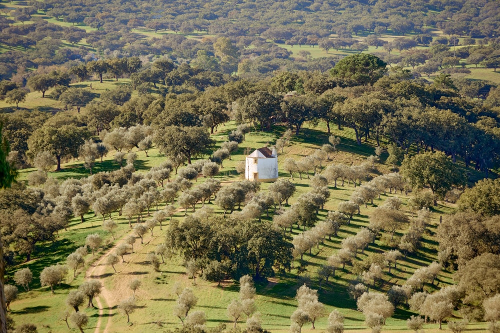 Ống kính Sigma 16-300mm F3.5-6.7 DC OS Contemporary ngàm L