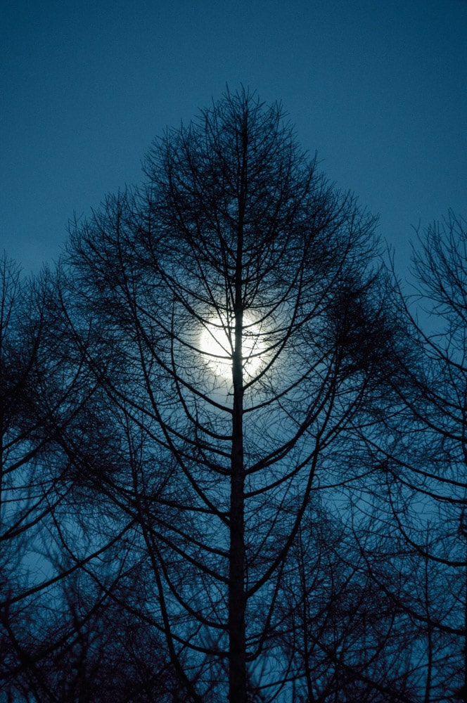 Ống kính Sigma 16-300mm F3.5-6.7 DC OS Contemporary ngàm L