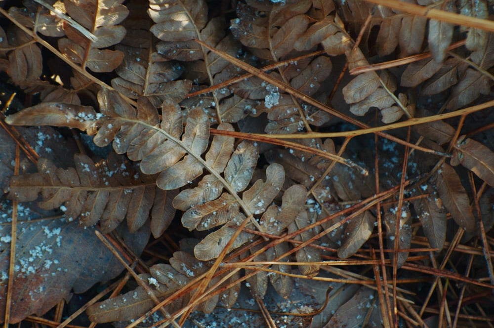 Ống kính Sigma 16-300mm F3.5-6.7 DC OS Contemporary ngàm L