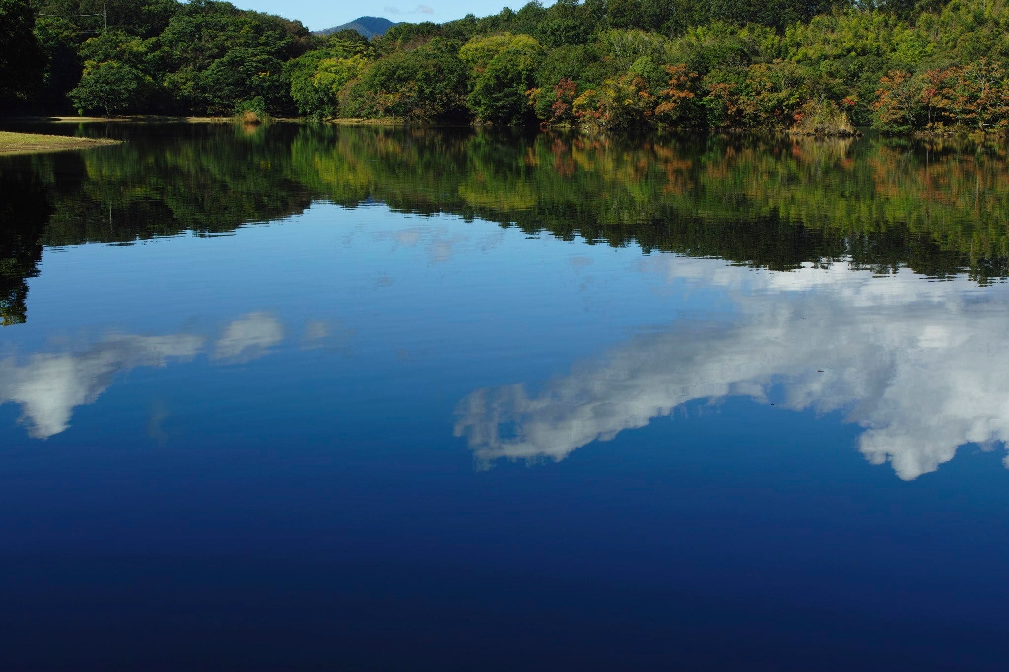 Ống kính Sigma 35mm F1.4 DG HSM ngàm Canon EF