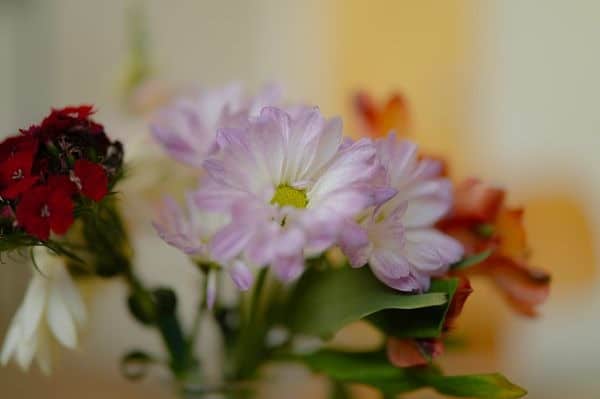 Ống kính Sigma 50mm F1.2 DG DN Art ngàm L