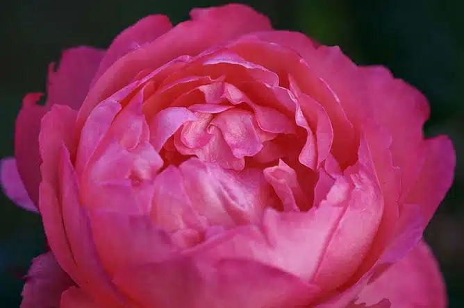 Tamron 150-500mm F/5-6.7 Di III VC VXD Nikon Z - A057Z