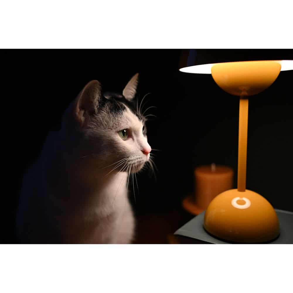 Ống kính Nikon Nikkor Z DX 24mm f/1.7