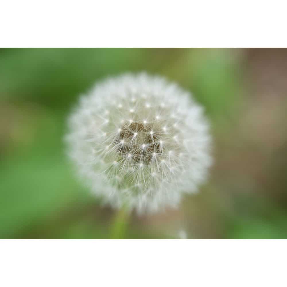 Ống kính Nikon Nikkor Z 70-180mm f/2.8