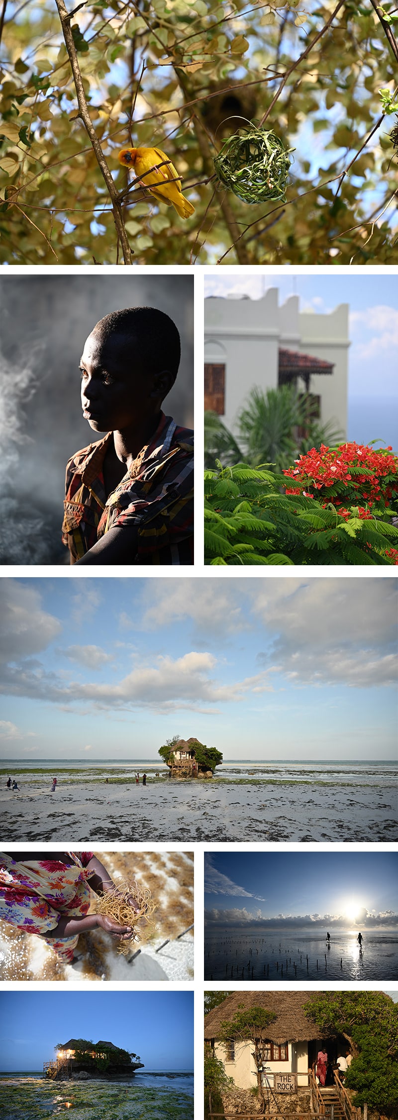 Ống kính Nikon Z 24-200mm f/4-6.3 VR