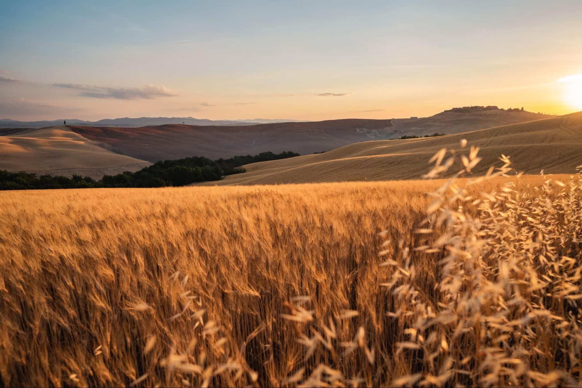 Ống kính Sigma 24-70mm f/2.8 DG DN Art For Sony E