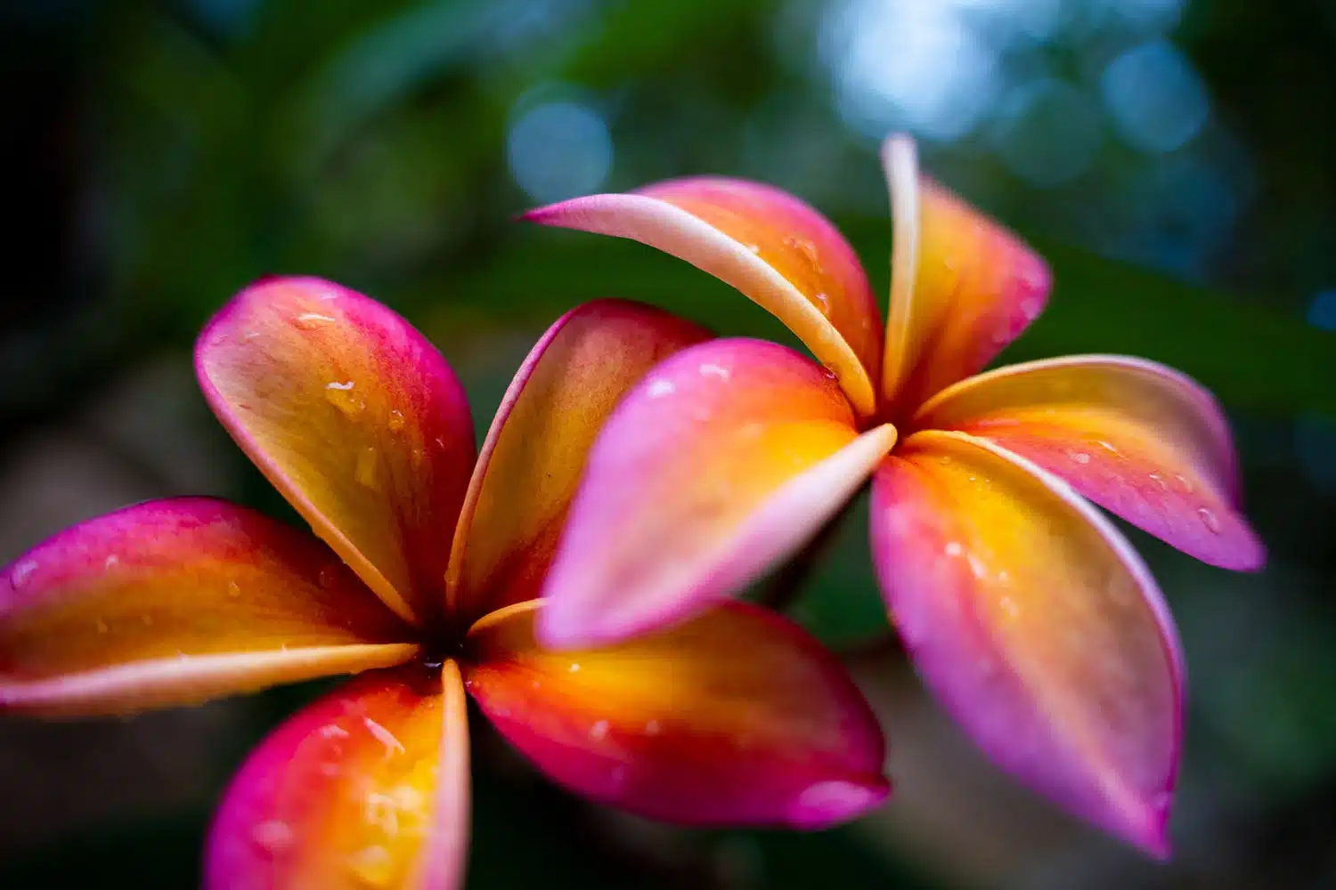 Tamron 28-75mm F/2.8 Di III VXD G2 cho Sony E - A063