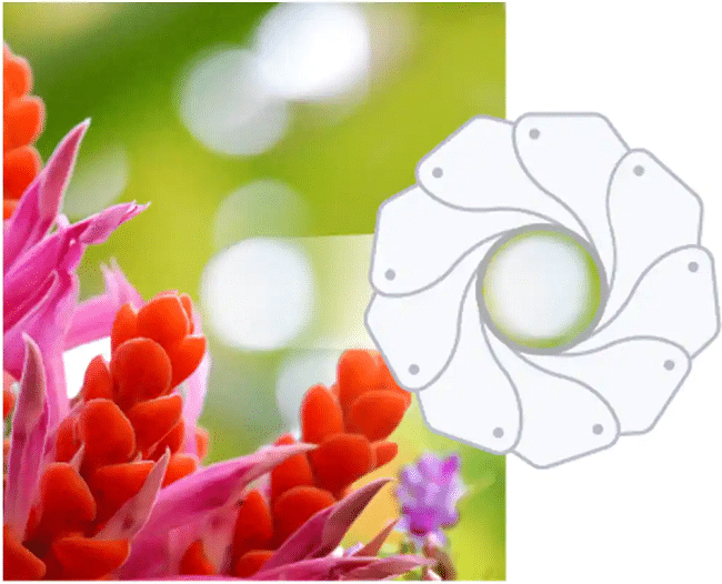 Ống kính Nikon Z MC 105mm f/2.8 VR S Macro