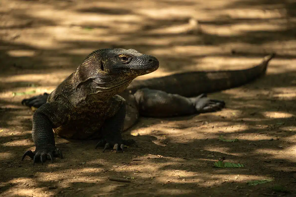 Tamron 70-180mm F/2.8 Di III VC VXD G2 for Sony E - A065