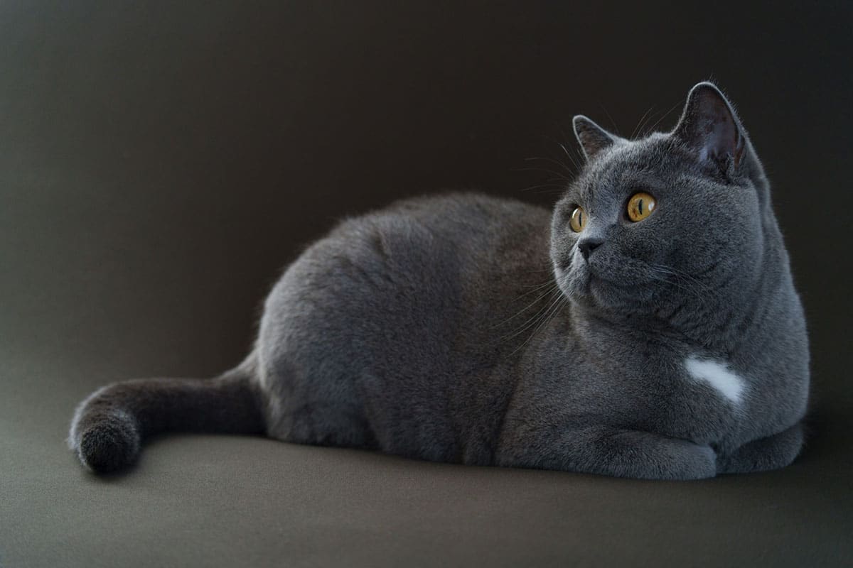 Tamron 50-300mm F/4.5-6.3 Di III VC VXD Sony E - A069