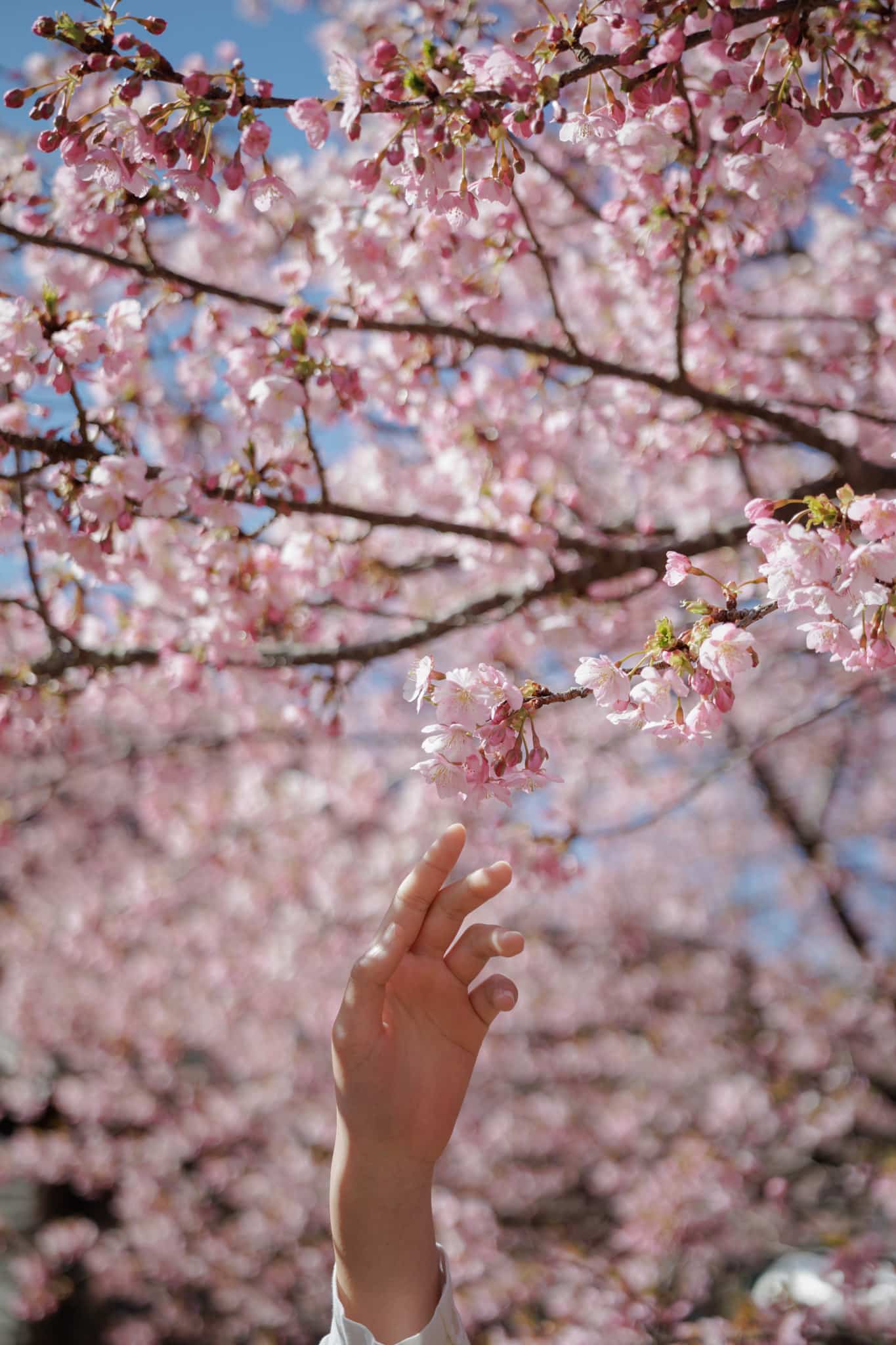 Ống kính Sigma 17-40mm F1.8 DC Art ngàm Canon RF