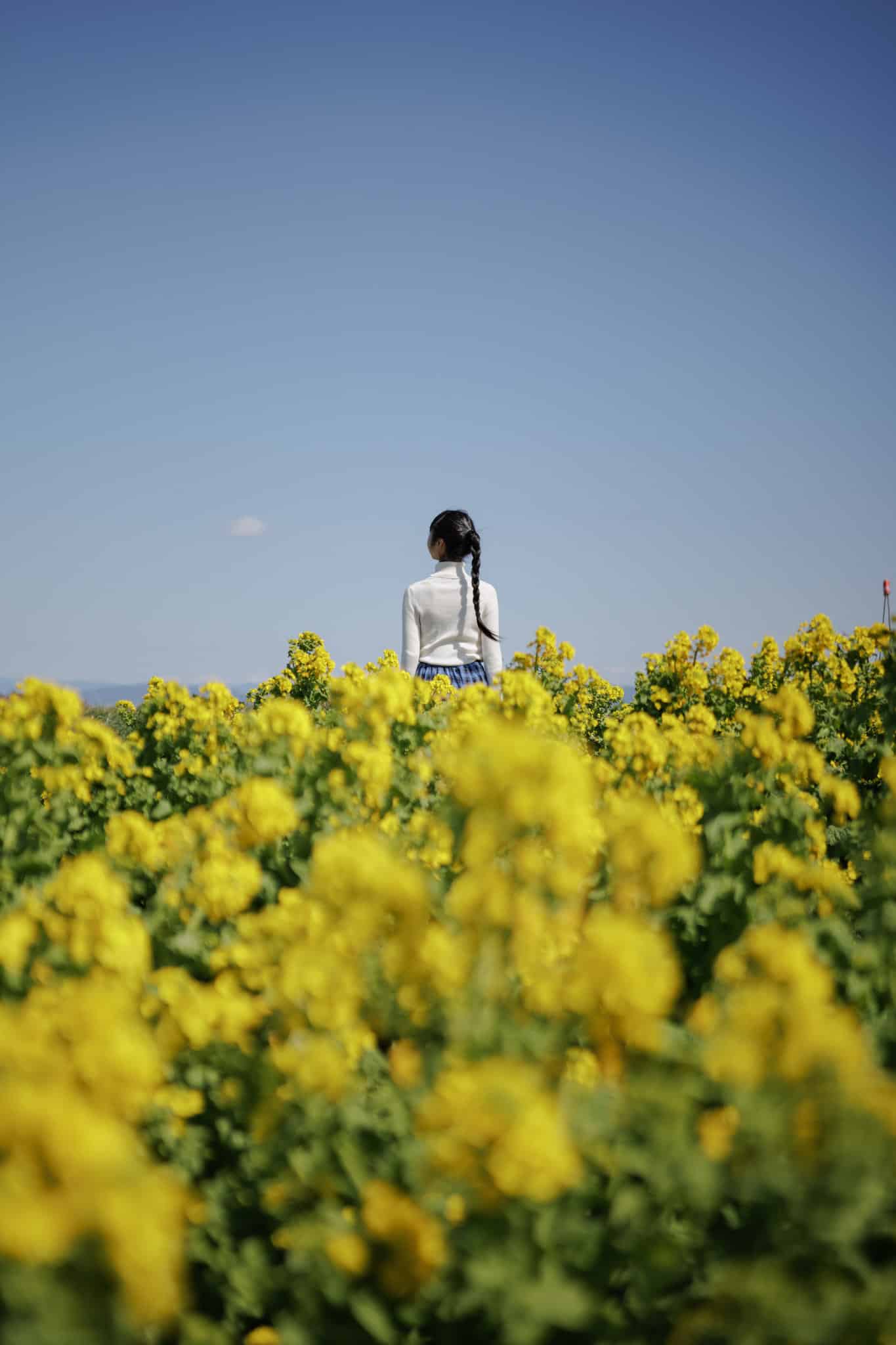 Ống kính Sigma 17-40mm F1.8 DC Art ngàm Canon RF