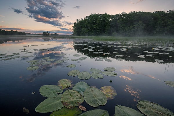 Ống kính Nikon Z 20mm f/1.8 S