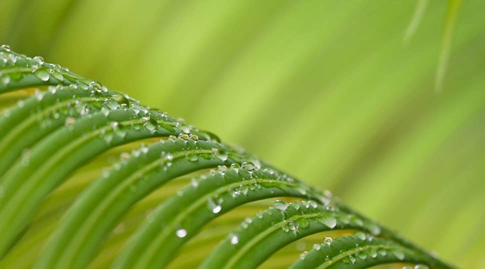 Ống kính Nikon Z 24-200mm f/4-6.3 VR