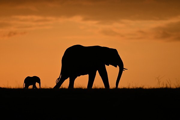 Ống kính Nikon Z 400mm f/2.8 TC VR S