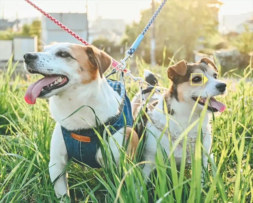 Ống kính Nikon Z DX 16-50mm f/3.5-6.3 VR | Black