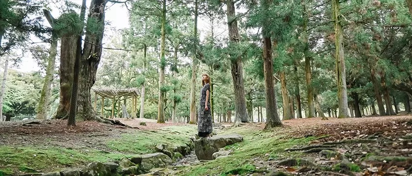 Ống kính Nikon Z DX 16-50mm f/3.5-6.3 VR | Black