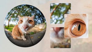Ống Kính Laowa 8-15mm f/2.8 FF Zoom Fisheye | Chính Hãng