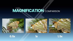 Ống kính LAOWA 180mm f/4.5 1.5X Ultra Macro APO | Chính Hãng