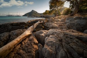 Ống kính Laowa 12mm f/2.8 Zero-D | Chính Hãng