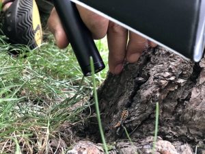 Ống kính Laowa 24mm f/14 2X Macro Probe | Chính Hãng