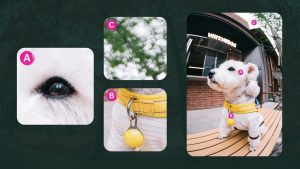 Ống Kính Laowa 4.5–10MM F/2.8 CF Zoom Fisheye APS‑C | Chính Hãng