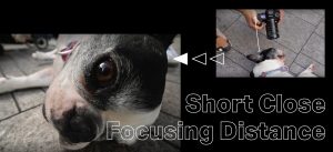 Ống kính Laowa 12-24mm f5.6 Zoom Shift CF | Chính Hãng