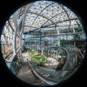 Ống Kính Laowa 4.5–10MM F/2.8 CF Zoom Fisheye APS‑C | Chính Hãng