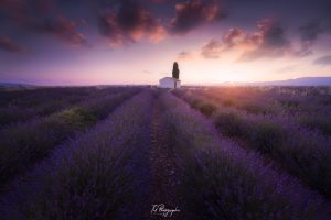 Ống kính Laowa 15mm f/2 Zero-D cho Leica M | Chính Hãng