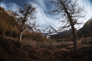 Ống Kính Laowa 8-15mm f/2.8 FF Zoom Fisheye | Chính Hãng